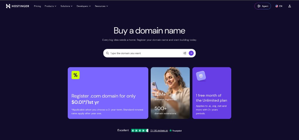 Hostinger — Buy a domain name search page
